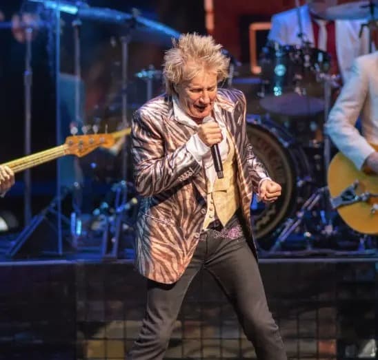 תמונה של האומן רוד סטיוארט