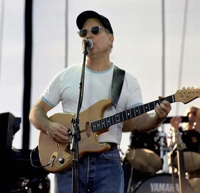 תמונה של האומן פול סיימון